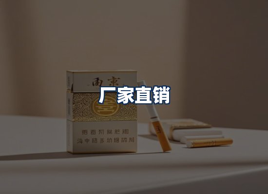 专业团队办公环境